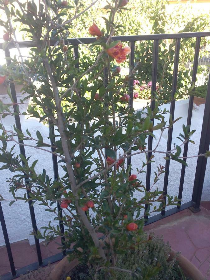 Casa Cueva Guadix 빌라 외부 사진